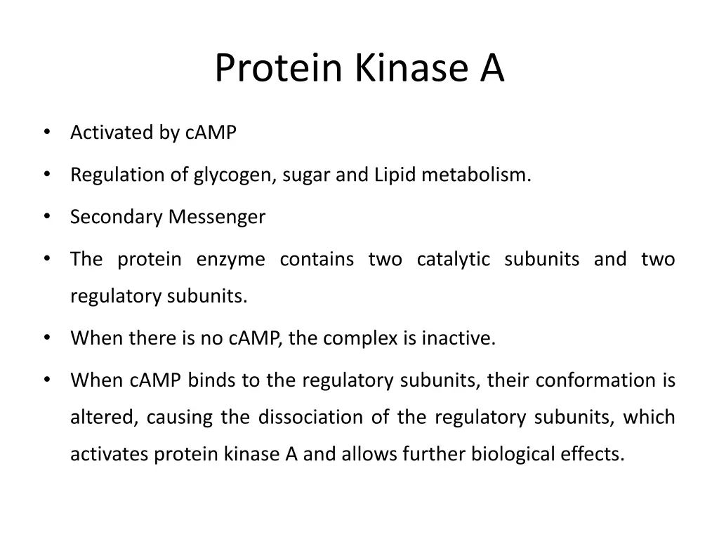 protein kinase a