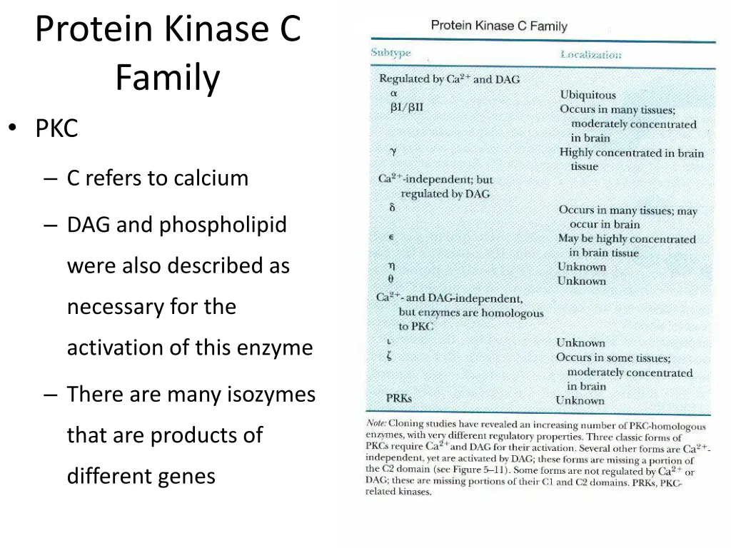 protein kinase c family pkc
