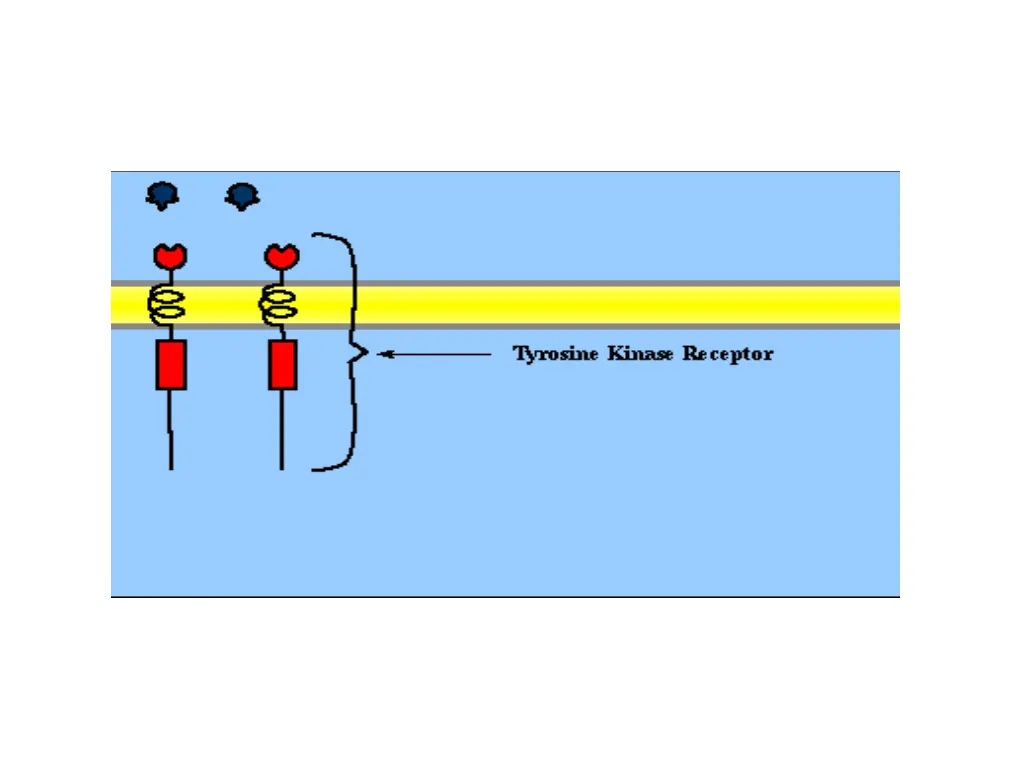 slide30