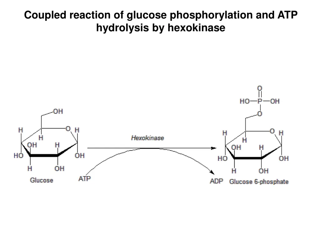 coupled reaction of glucose phosphorylation