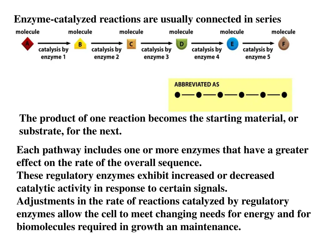 enzyme catalyzed reactions are usually connected