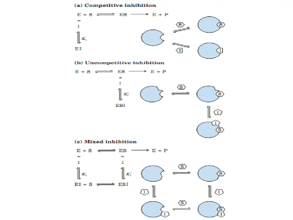 slide34