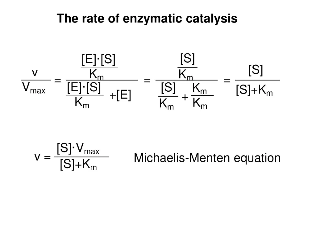 the rate of enzymatic catalysis 2