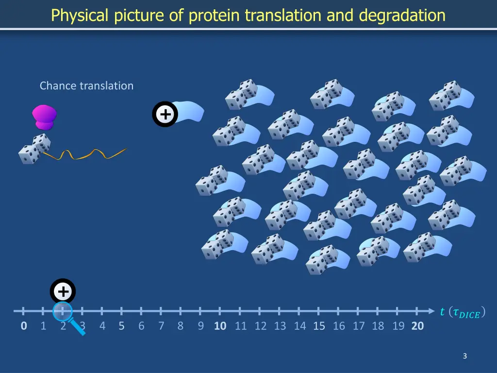 physical picture of protein translation 1