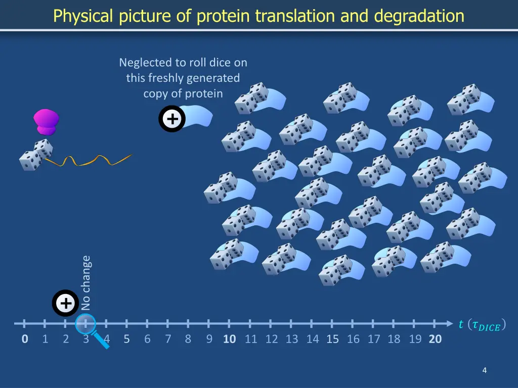 physical picture of protein translation 2
