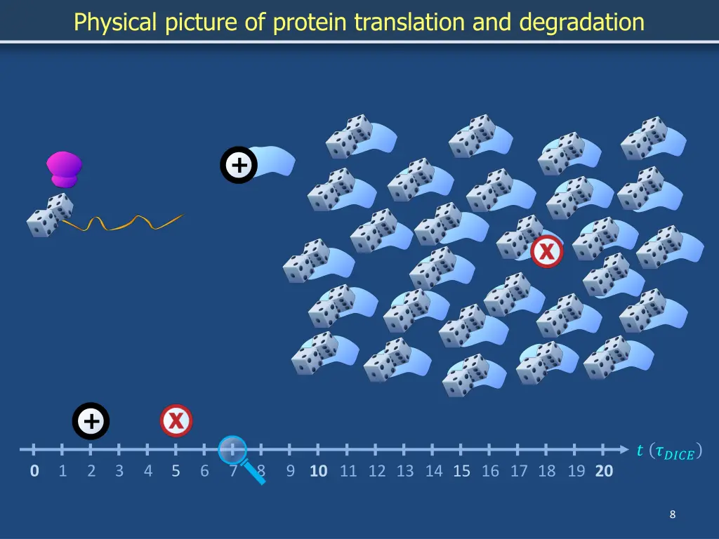 physical picture of protein translation 6