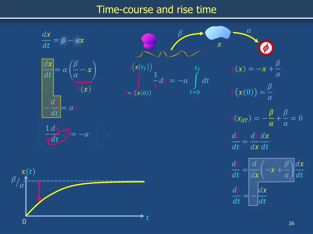 time course and rise time 1