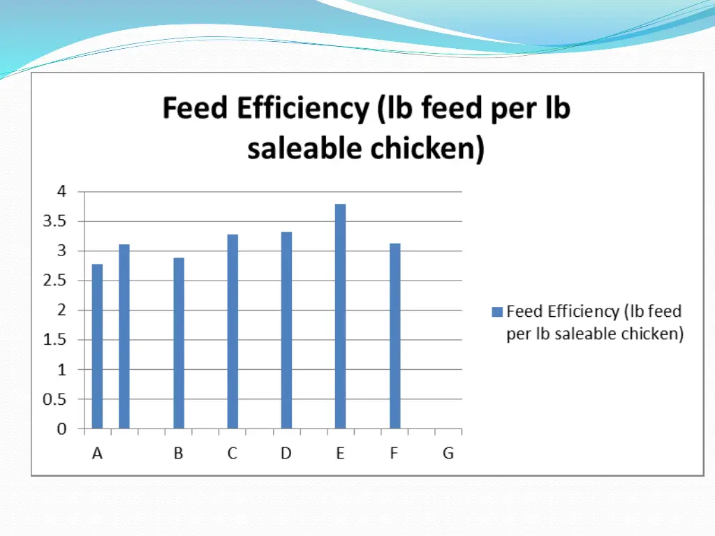 slide19