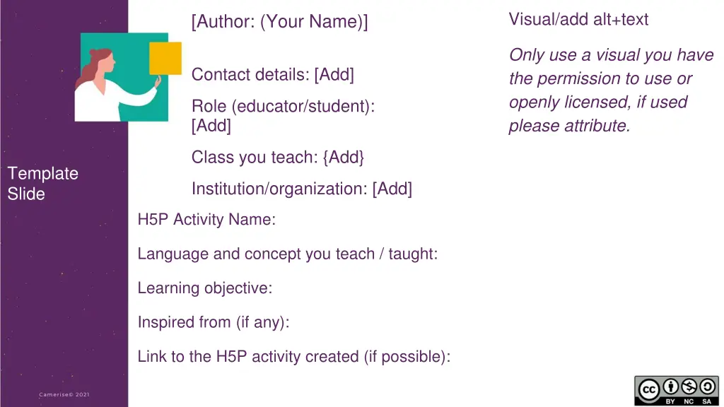 visual add alt text