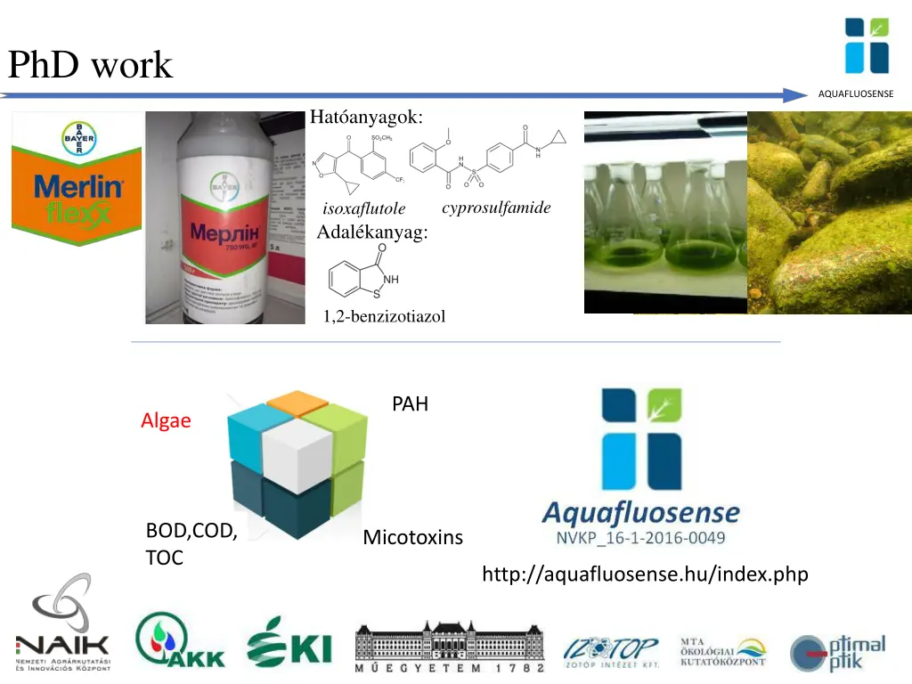 phd work