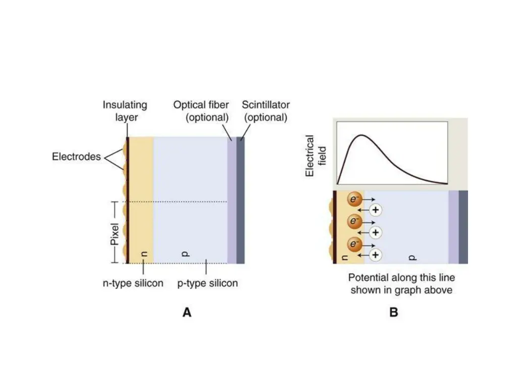 slide11