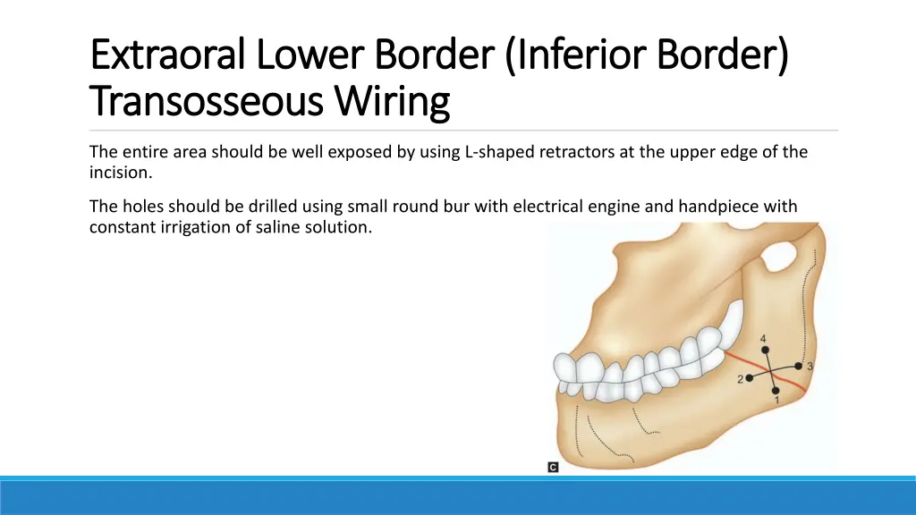 extraoral lower border inferior border extraoral
