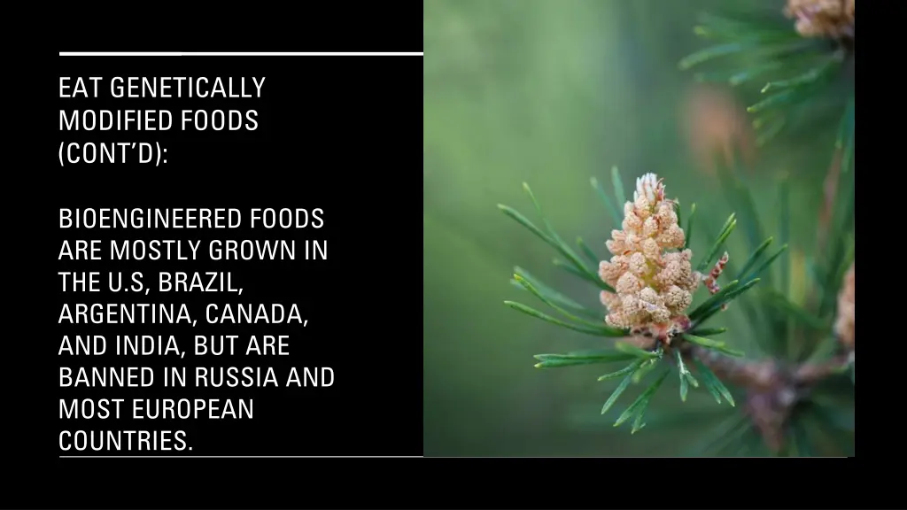 eat genetically modified foods cont d 1
