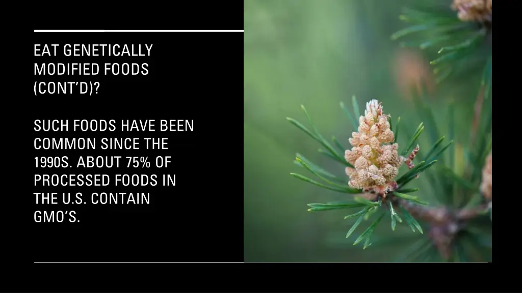 eat genetically modified foods cont d