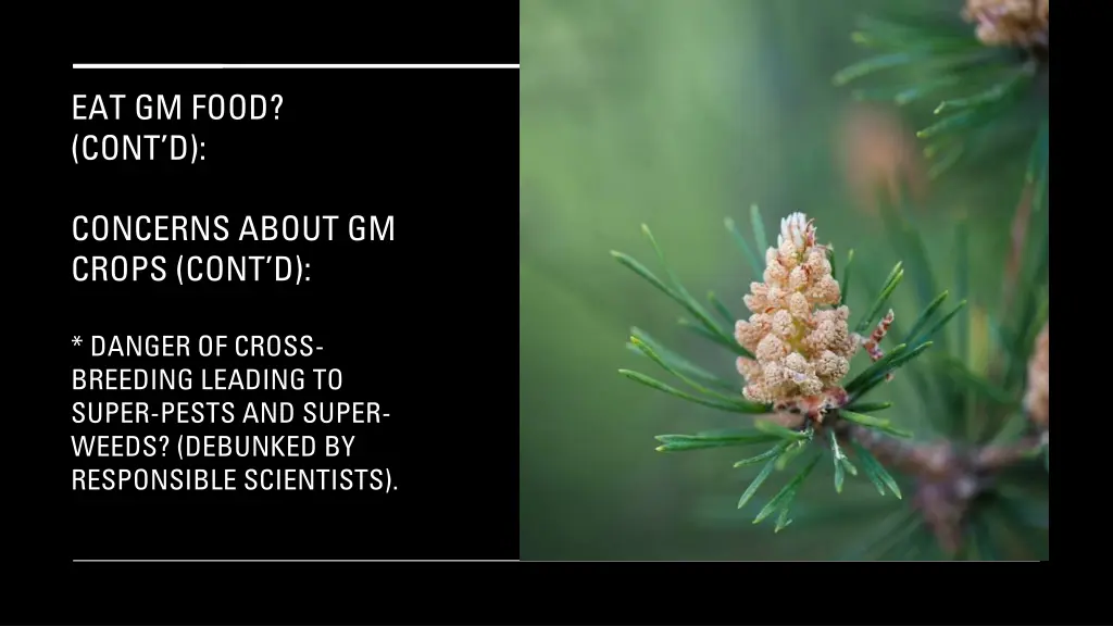 eat gm food cont d 1