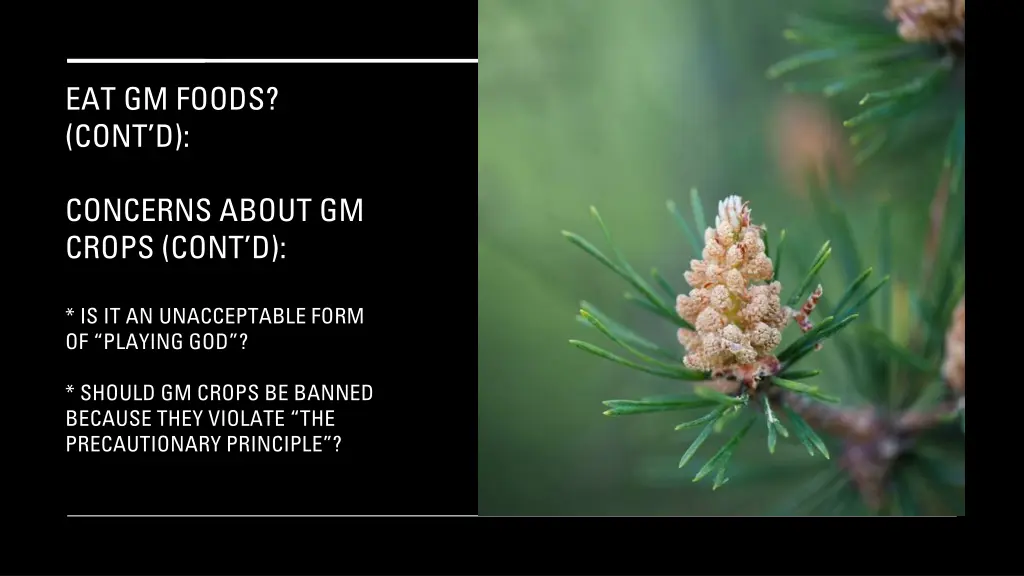 eat gm foods cont d 1