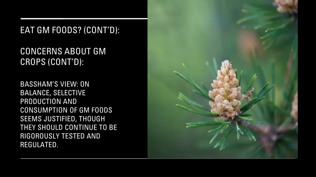 eat gm foods cont d 4
