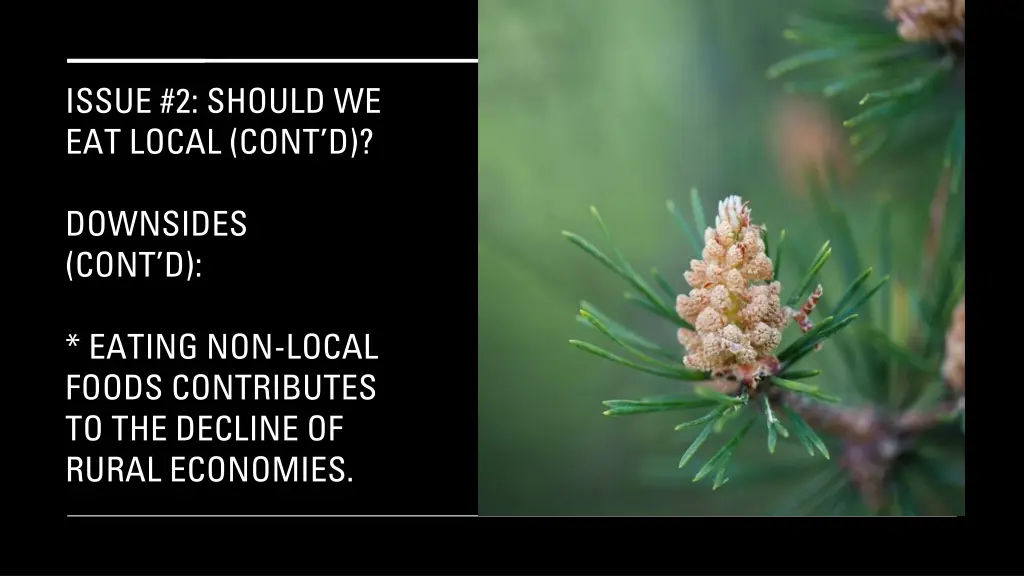 issue 2 should we eat local cont d 2