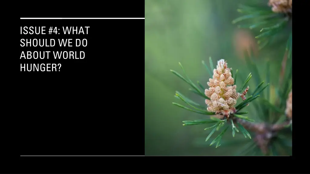 issue 4 what should we do about world hunger