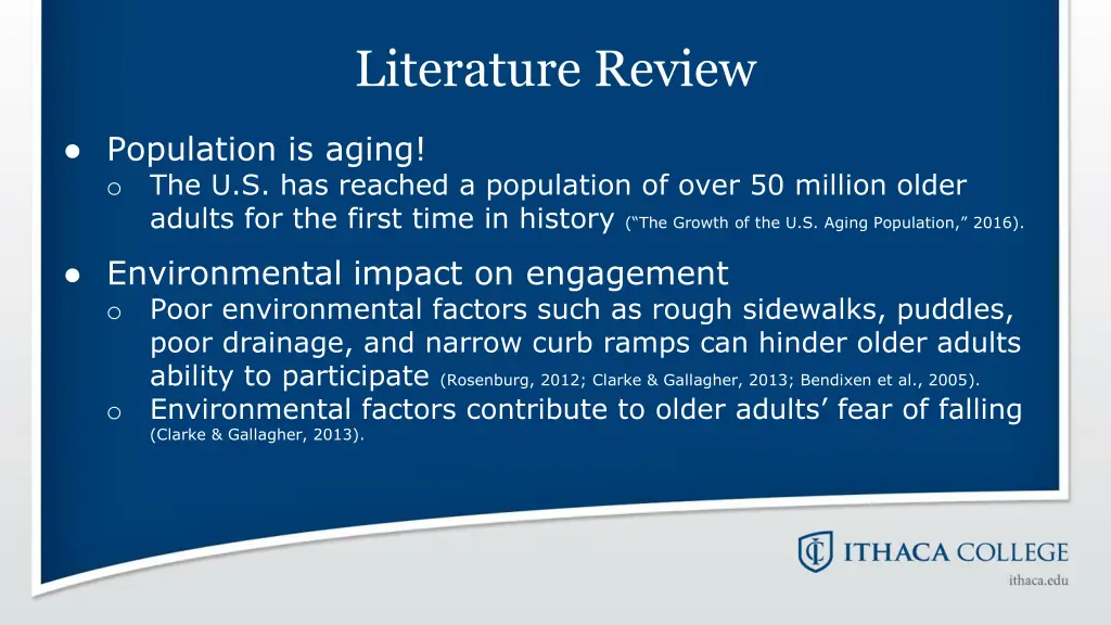 literature review