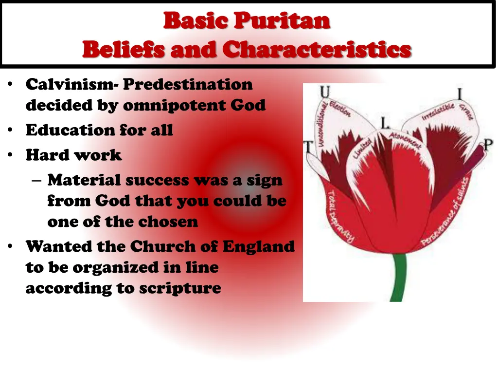 basic puritan basic puritan beliefs