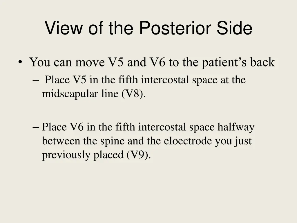 view of the posterior side