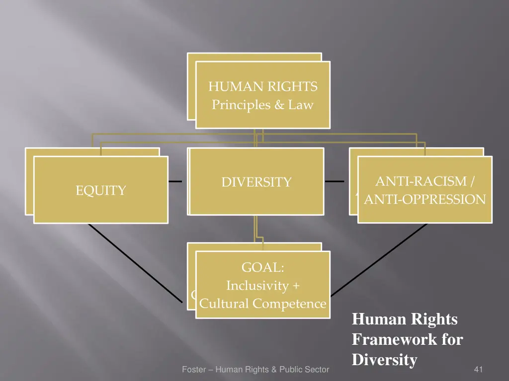 human rights principles law principles law