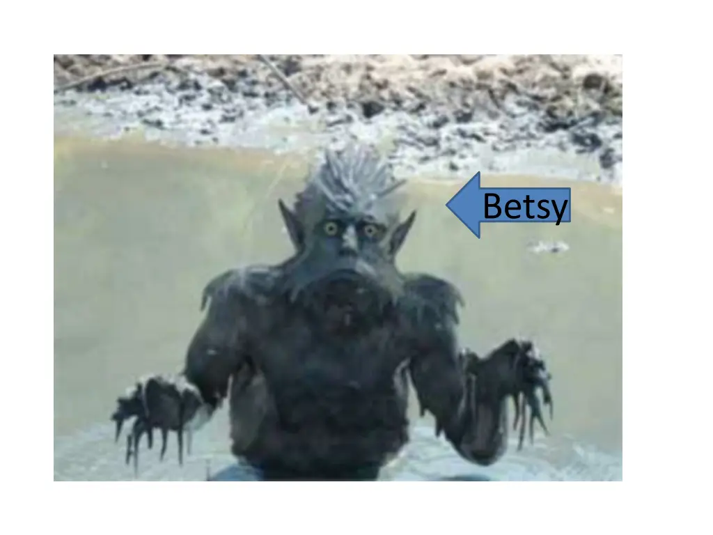betsy