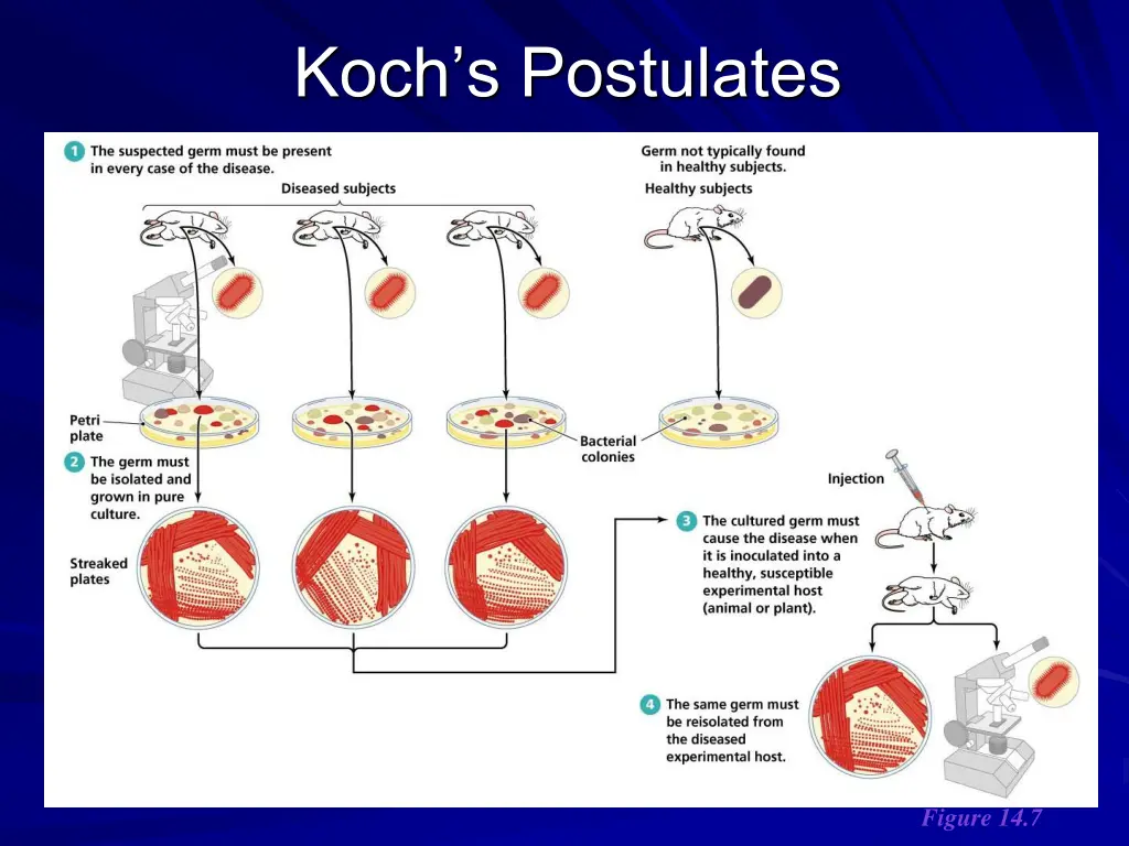 koch s postulates