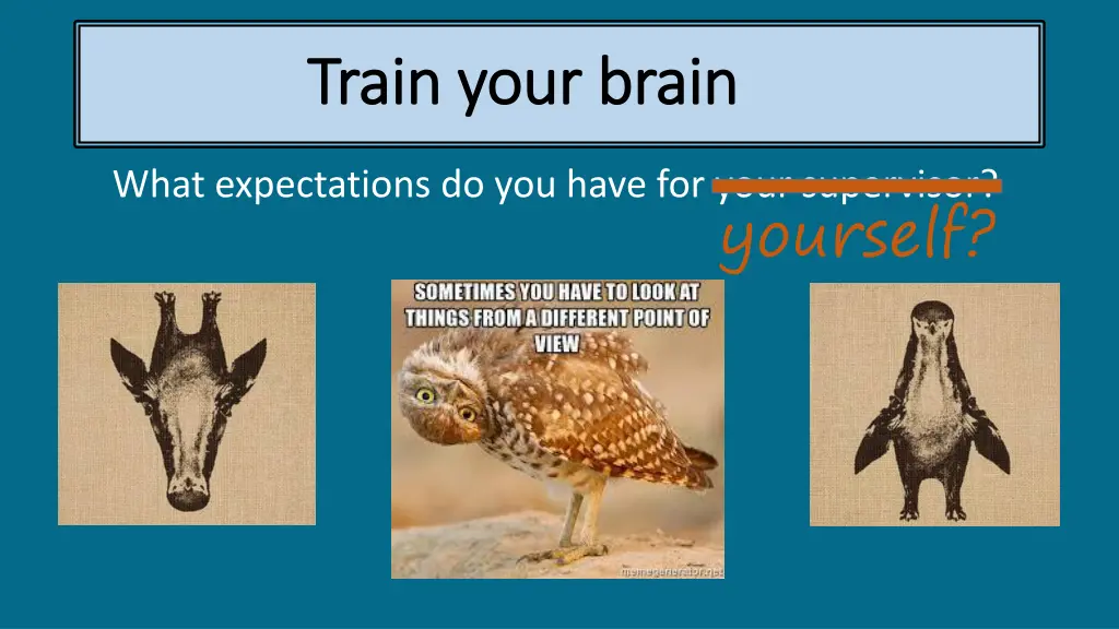train your brain train your brain