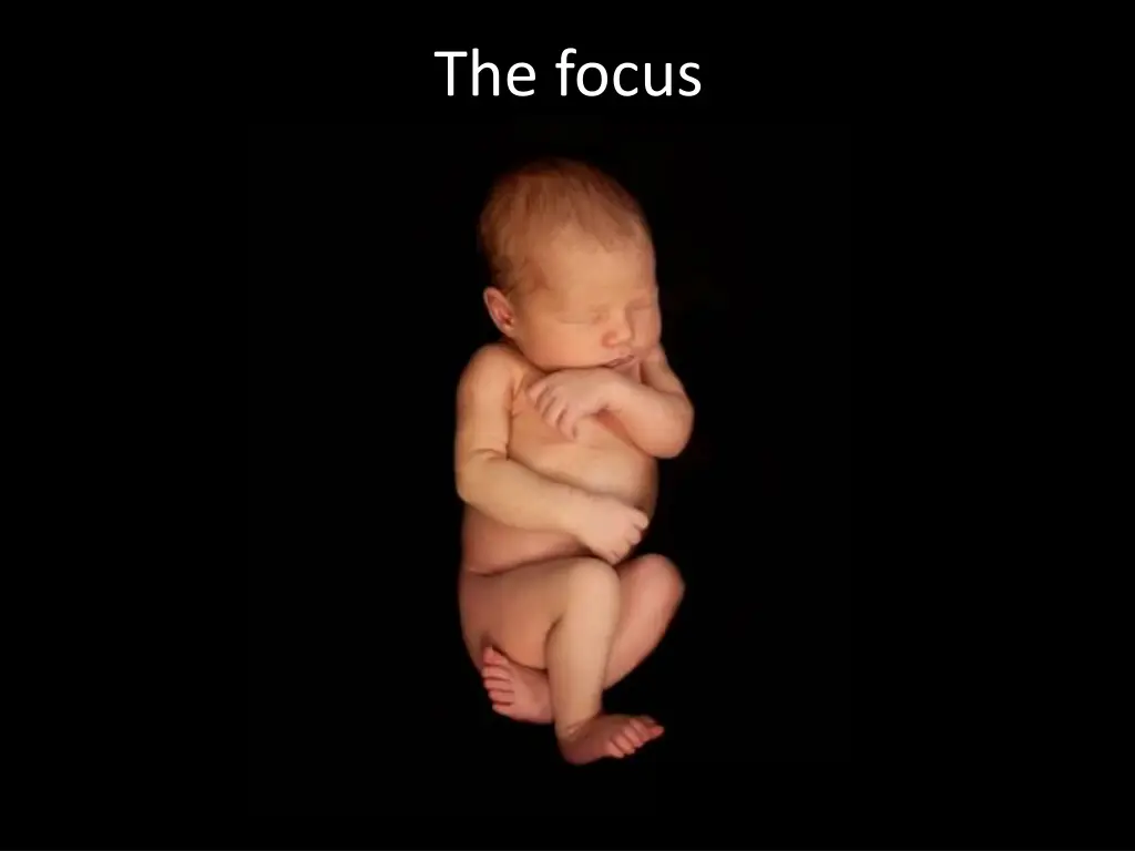 the focus