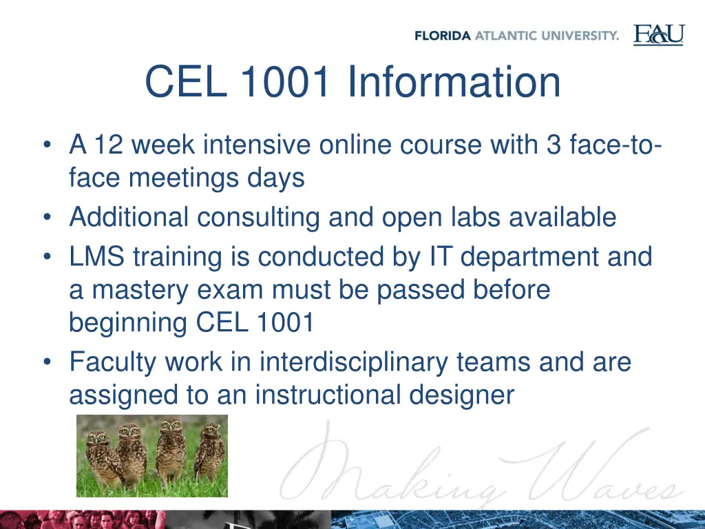 cel 1001 information