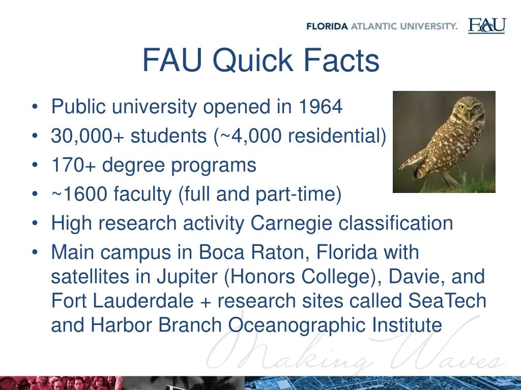 fau quick facts