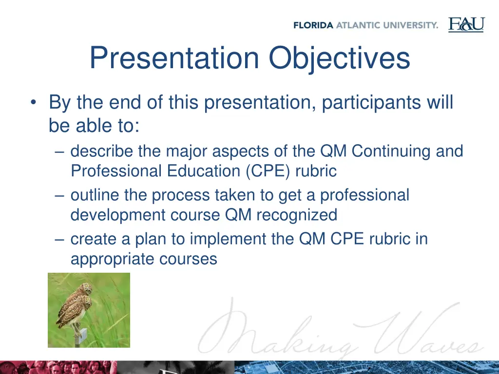 presentation objectives