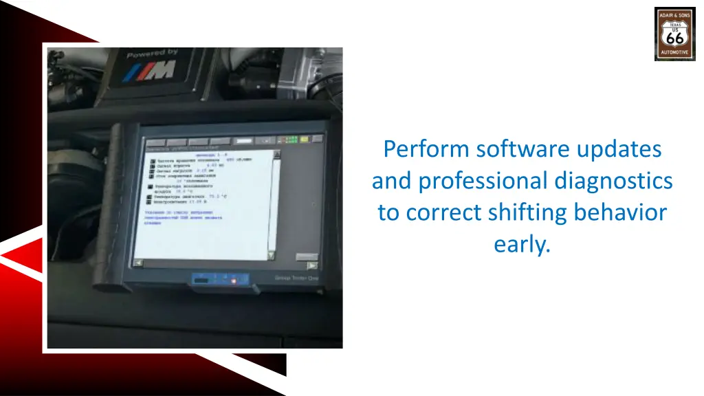 perform software updates and professional