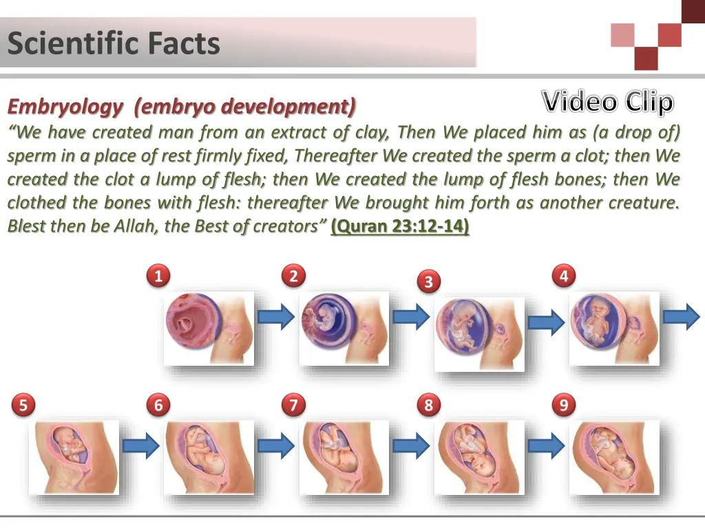 scientific facts 2