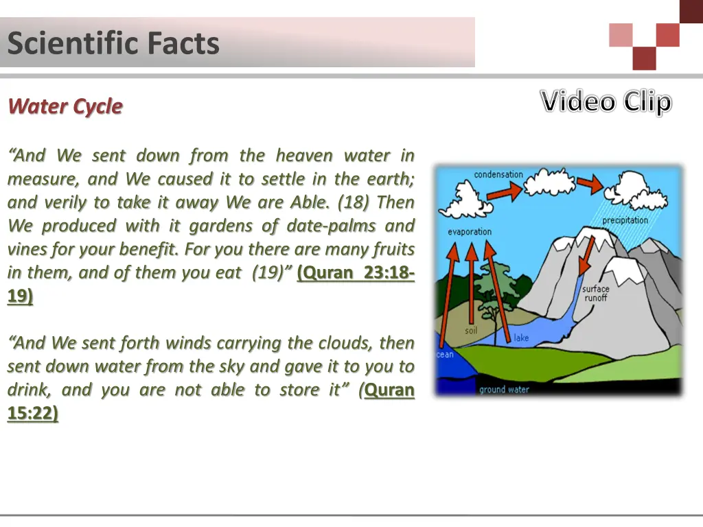 scientific facts 4