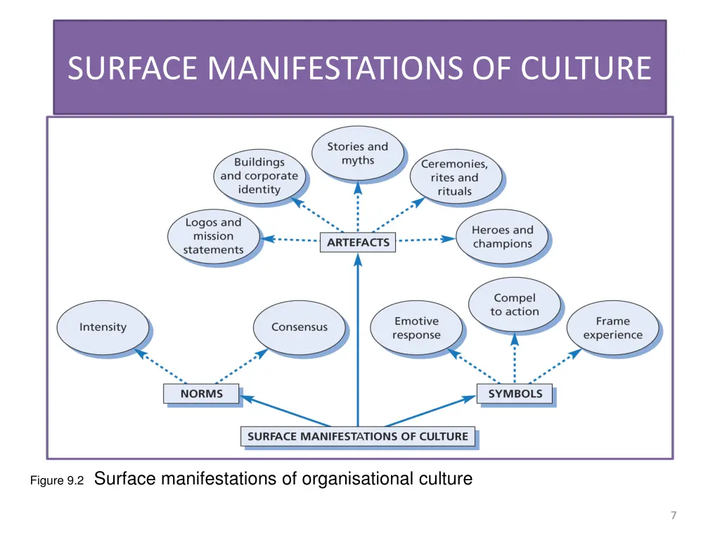 surface manifestations of culture