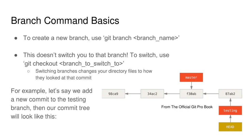 branch command basics