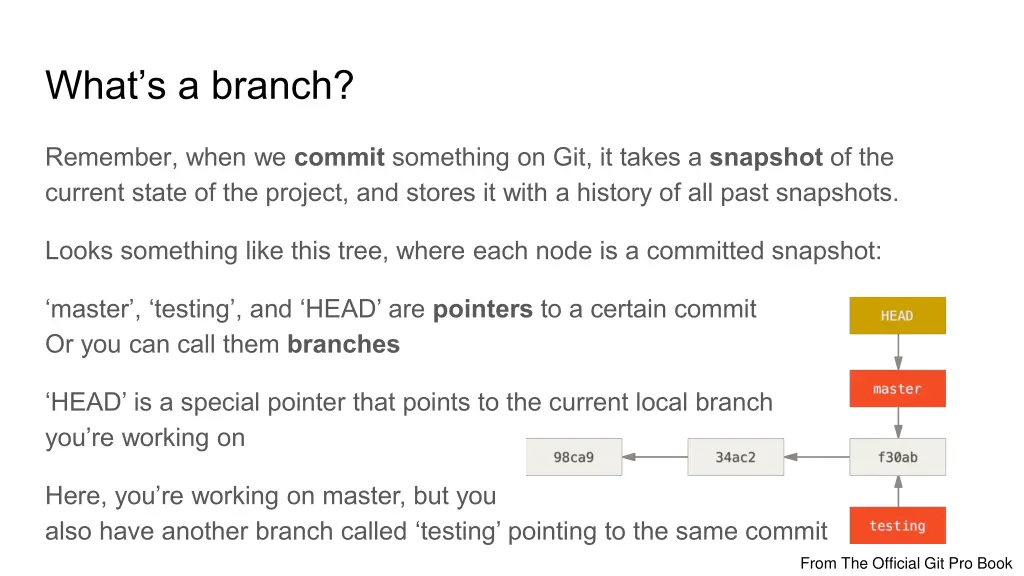 what s a branch