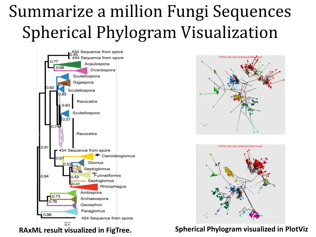 summarize a million fungi sequences spherical
