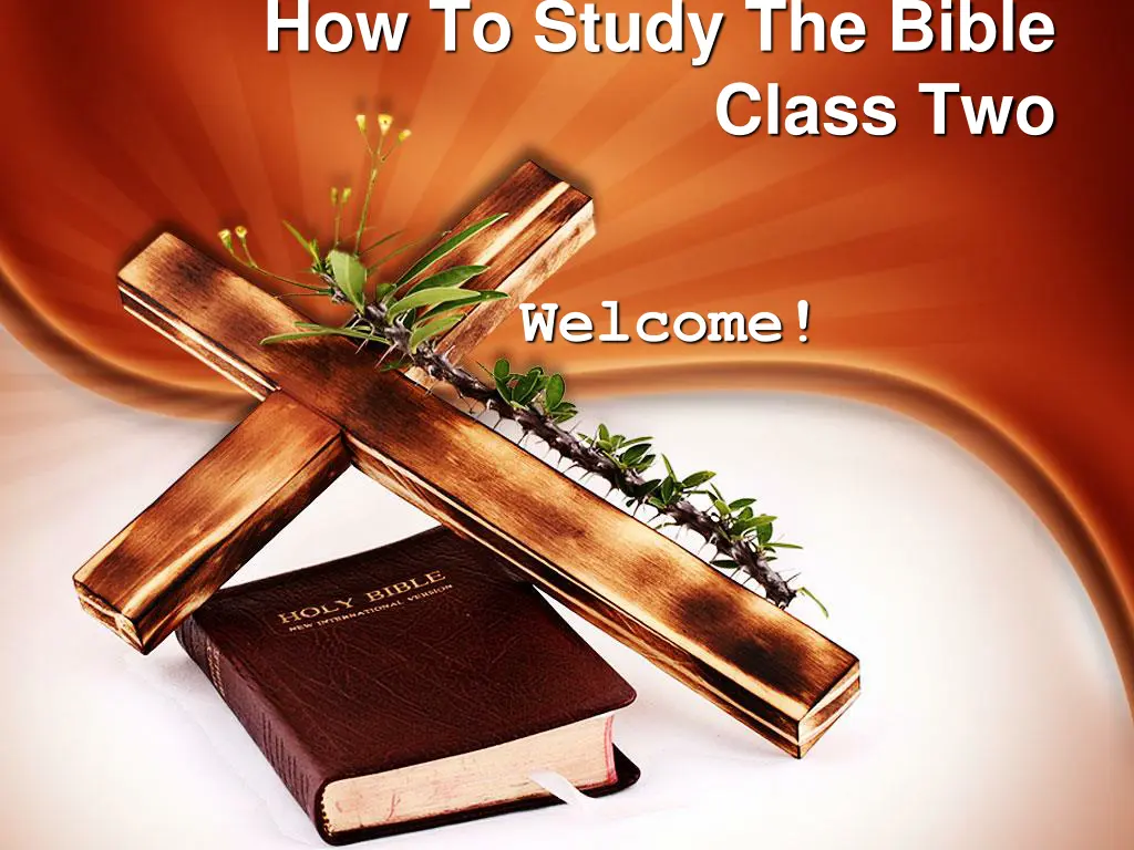 how to study the bible