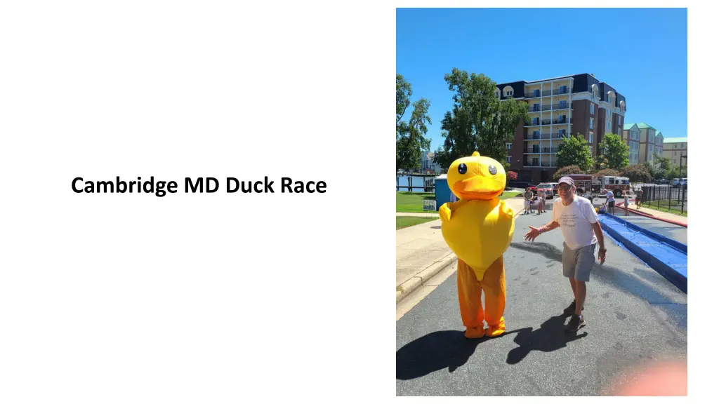 cambridge md duck race