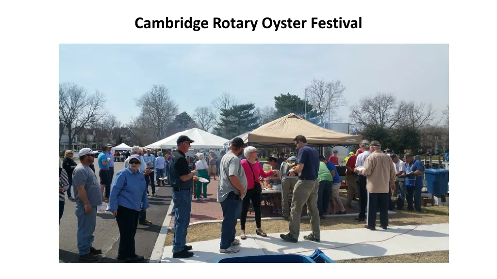 cambridge rotary oyster festival