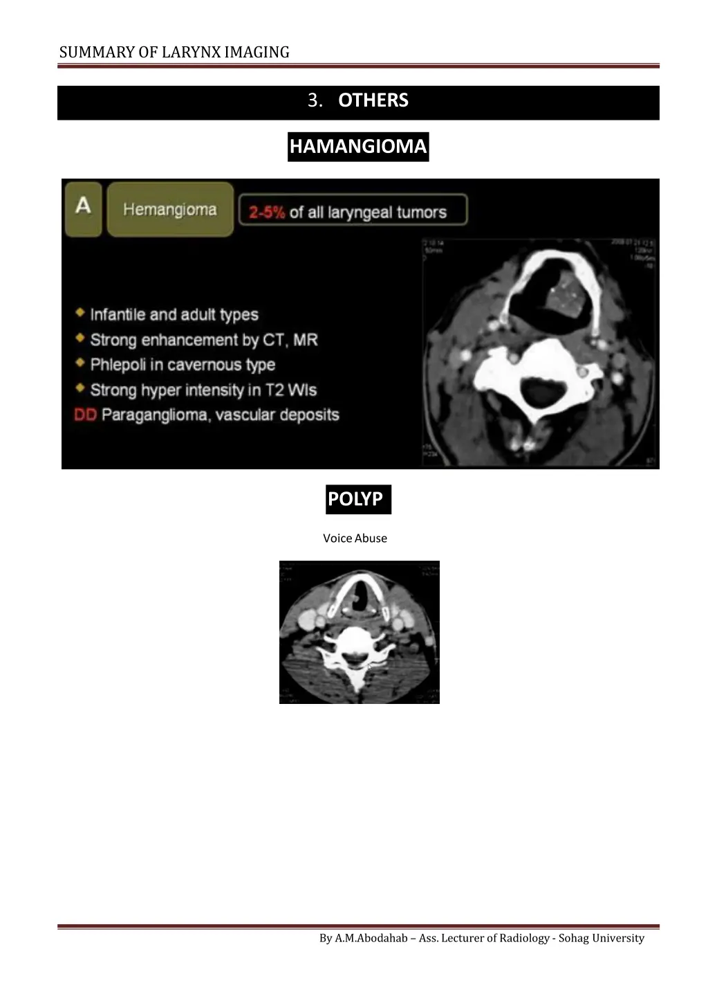 summary of larynximaging 3