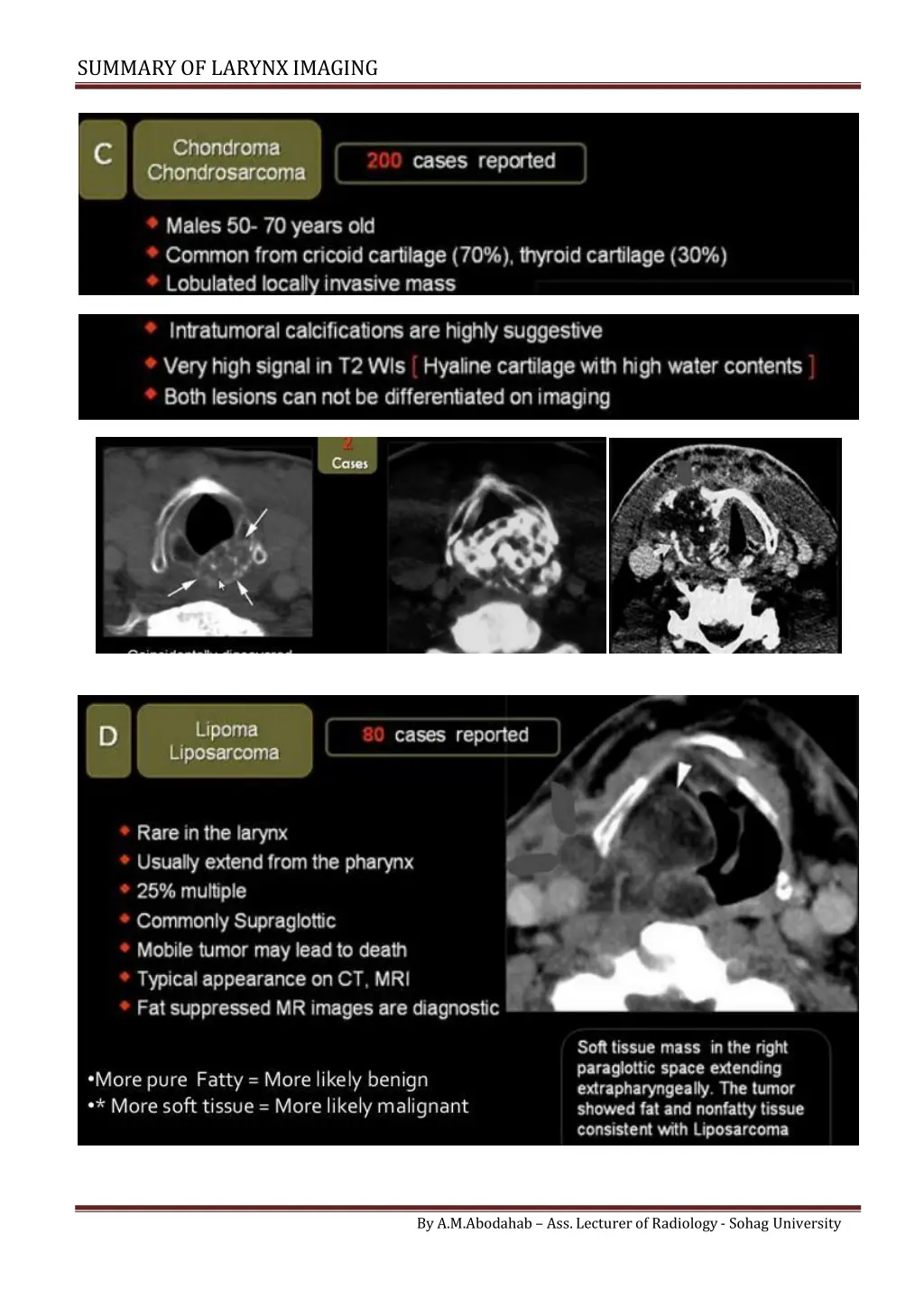 summary of larynximaging 4