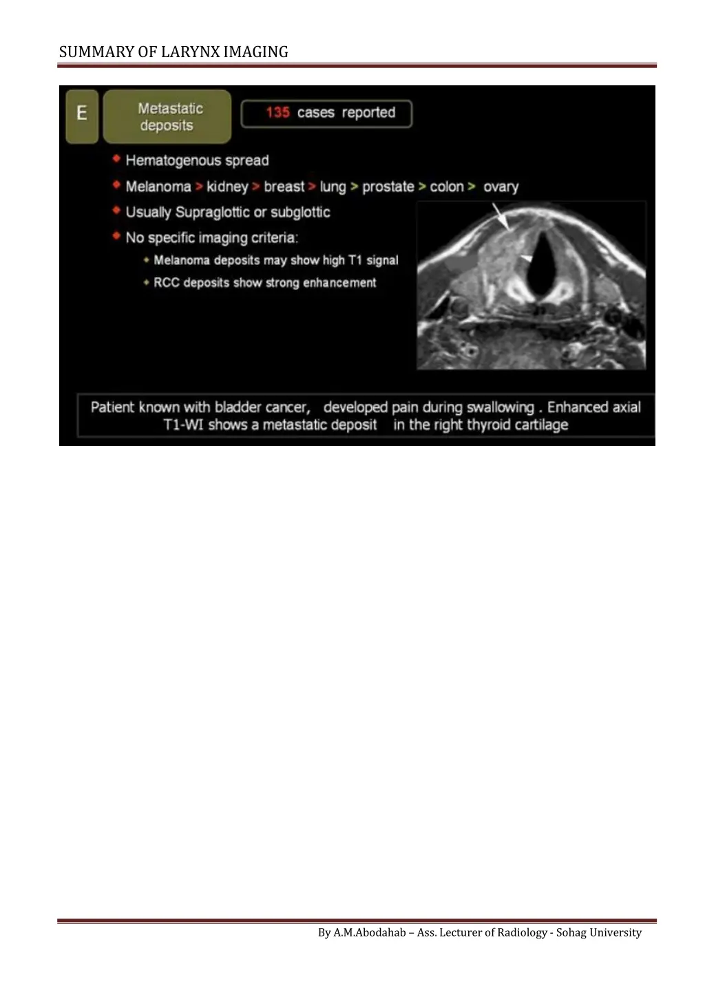 summary of larynximaging 5