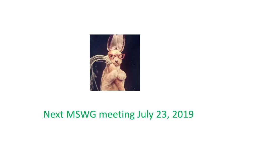 next mswg meeting july 23 2019