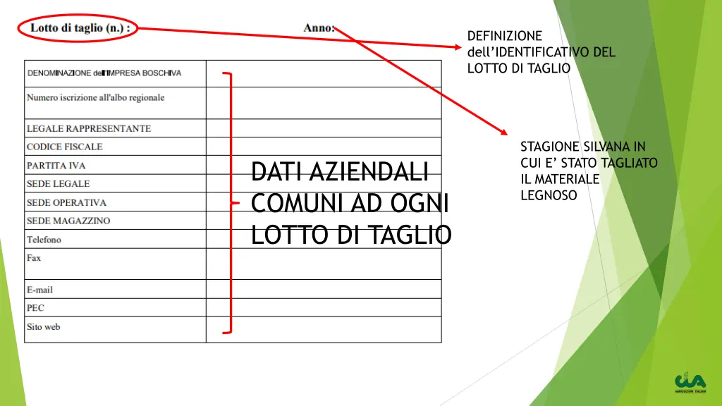 definizione dell identificativo del lotto