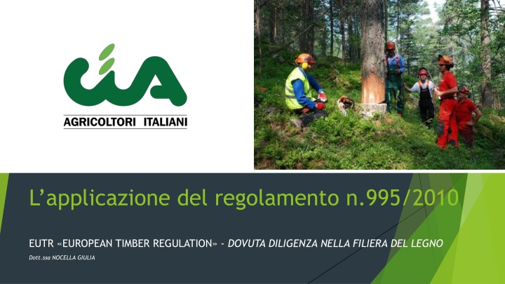 l applicazione del regolamento n 995 2010